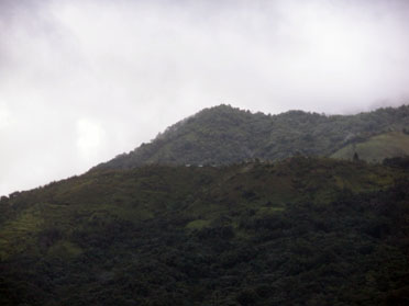foto41